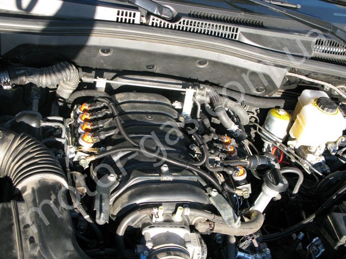 ГБО на Lexus GX 470 (Vialle)