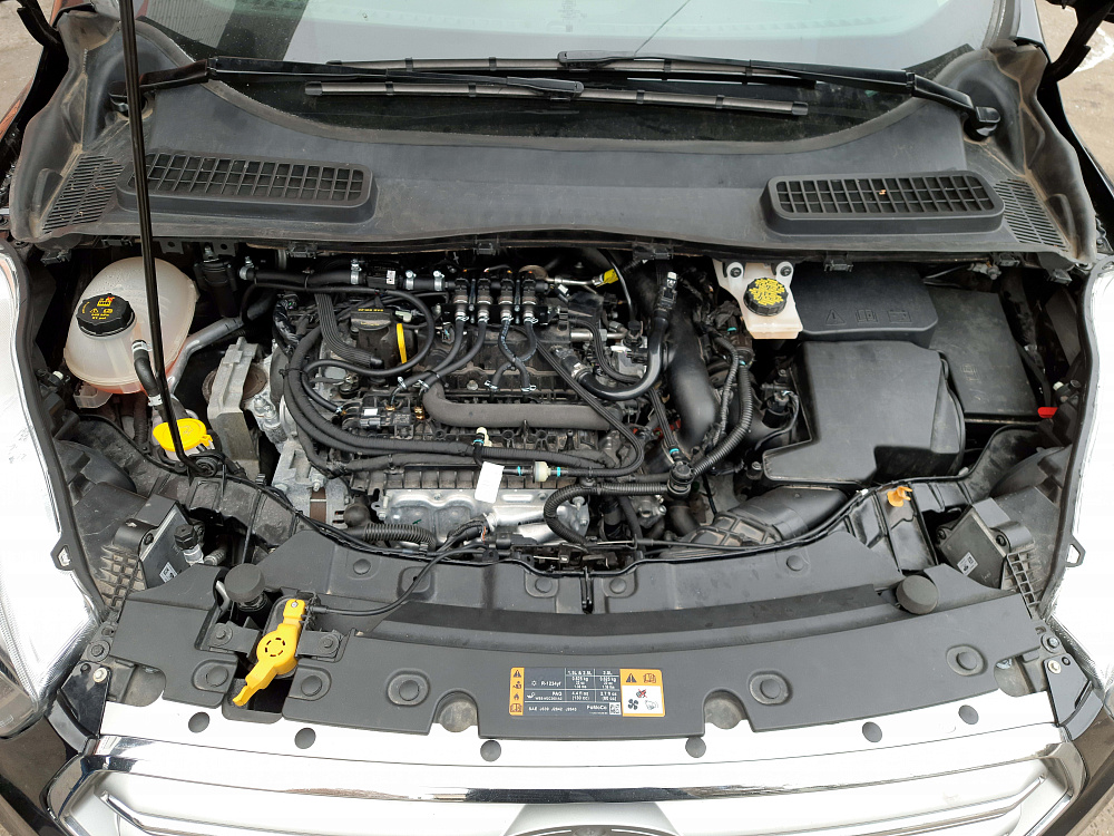 ГБО на Ford Escape 1.5 2019 Ecoboost